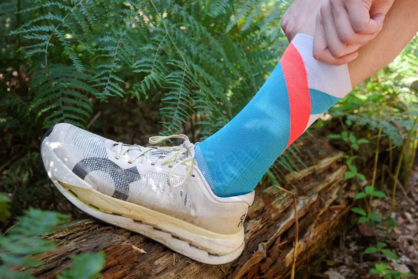 Incylence-Trail-Summits-Blaze