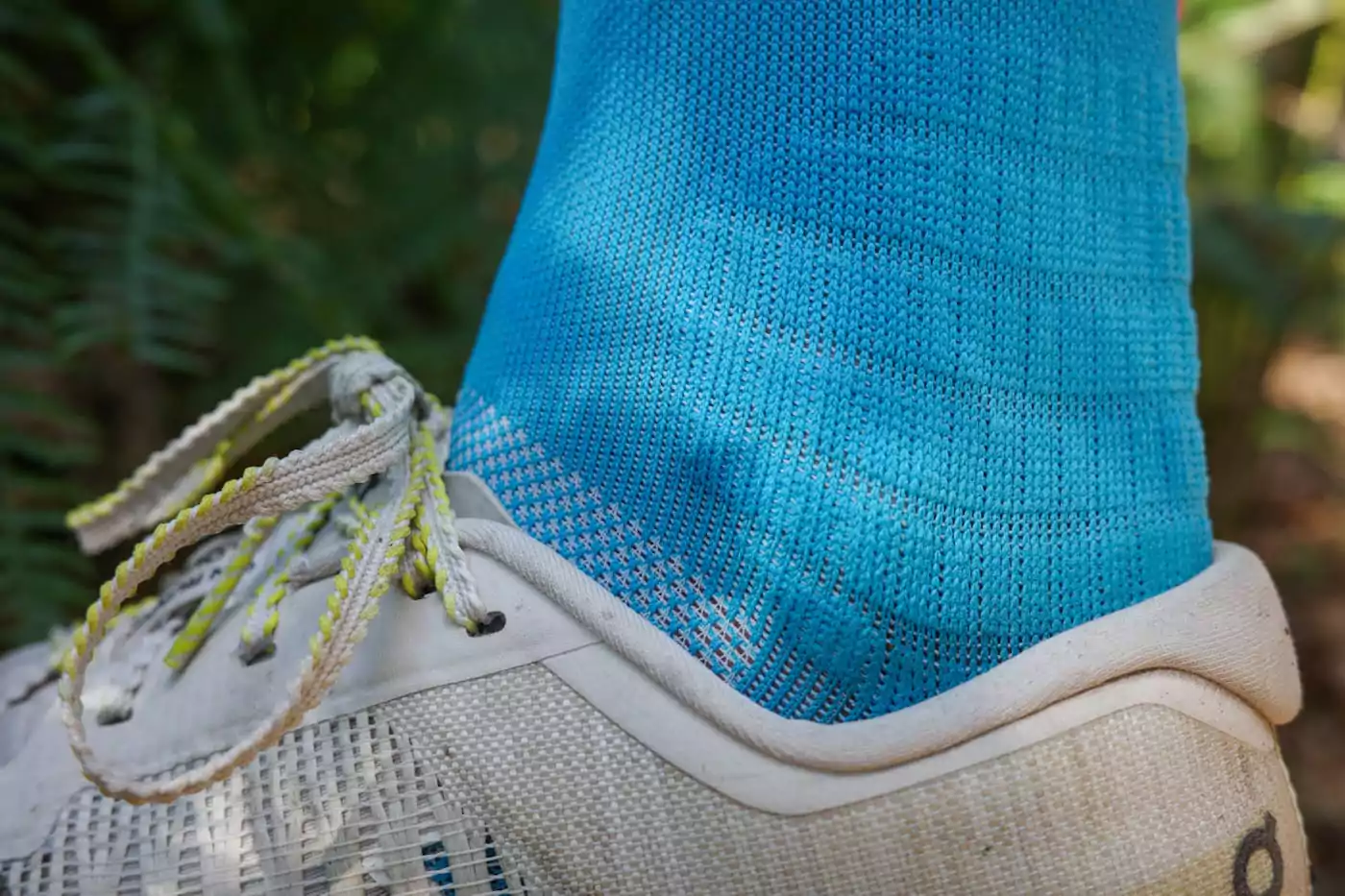 Incylence-Trail-Summits-Blaze