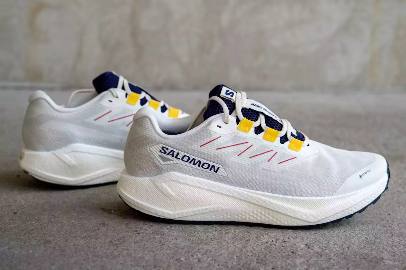 Salomon Aero Blaze 3 GRVL GTX водонепроницаемые кроссовки для трейлраннинга